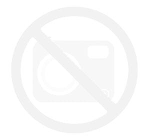 Soczewki przeciwsłoneczne Ray-Ban RB4202 Zielony
